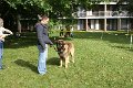 Nachzuchttreffen 08_08 033